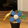 IMG_1087.jpeg Filament Flower - Giftable, Modular Spring Flower Kit