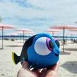 Capture d’écran 2018-05-04 à 11.24.00.png Multi-Color Baby Dory