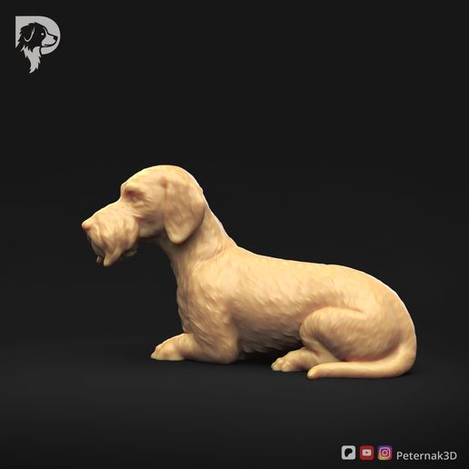 Dachshund-Wire-Haired-Pose-09-Dog-3D-Print-8s.jpeg Dachshund Wire Haired Pose 09