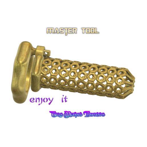 Male original "delicate bolt nuts" Chastity Device Cock Cage Penis Ring  Virginity Lock Chastity Belt Adult Game Sex Toy locker cuckold style v-79A  3d print cnc STL File for Cults