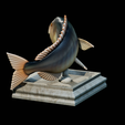 Dentex-trophy-11.png fish Common dentex / dentex dentex trophy statue detailed texture for 3d printing