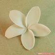 04a.jpg flowers: Plumeria - 3D printable model