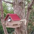 PHOTO_1.jpg NICHOIR, BIRD SHELTER, BIRD HOUSE WITH FOOD AND BATH