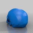 Cr_ne_humain_Cerebrix_3_-_Cults_-_by_Prevue.jpg Free STL file Cerebrix Human Skull・Object to download and to 3D print