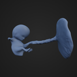 NineWeeksFetus_5.png 9 Week Fetus