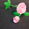 IMG_02.png Rose | 3D Printable Rose ©