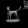 Blink_Dog_modeled_ad.JPG Misc. Creatures for Tabletop Gaming Collection
