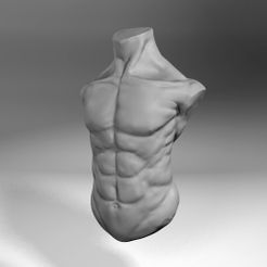 Preview.jpg Free 3D file Male Torso・3D printable object to download