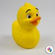 02.jpg Squeaker Duck
