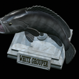 White-grouper-open-mouth-1-26.png fish white grouper / Epinephelus aeneus trophy statue detailed texture for 3d printing