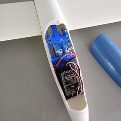 szd-55-radio-module.jpg RC GLIDER SZD-55 NEXUS