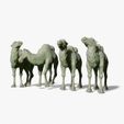 WHITE_RENDER.jpg four toy camels, for creating scenes or just for playing