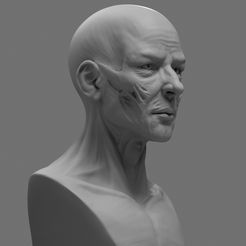 Cam_001.jpg Fichier STL Modèle d'impression 3D de l'anatomie stylisée du visage・Modèle à télécharger et à imprimer en 3D