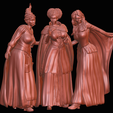 Schermata-2023-08-30-alle-13.34.16.png Hocus Pocus Sanderson Sisters - 1to6 statue STL file 3D print model