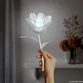 pblmyuri