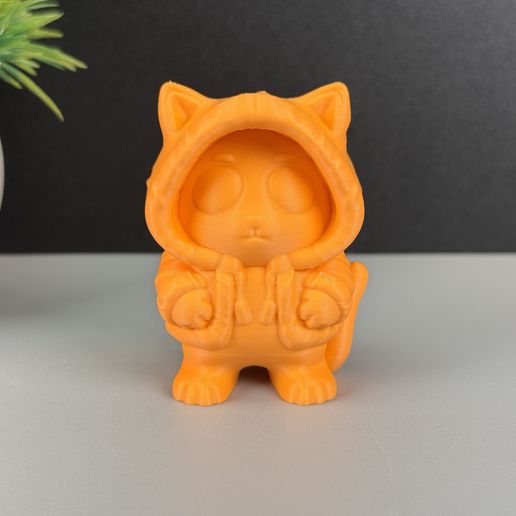 IMG_4991.jpg Gato con capucha