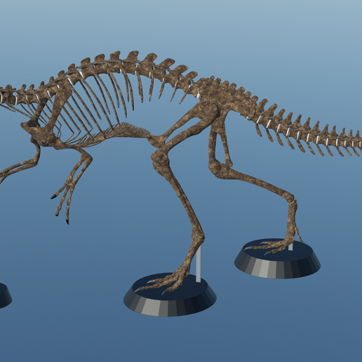 💀 Dilophosaurus wetherilli skeleton 70cm and 35cm 3d print・ 3D File for ...