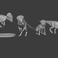 step10.jpg Microceratops BUNDLE