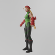 Cammy0015.png Cammy Street Fighter Lowpoly Rigged