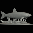 Grass-carp-1-18.png fish grass carp / Ctenopharyngodon idella / amur bílý statue detailed texture for 3d printing
