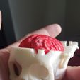 Boneheads: Boîte Crâne avec cerveau - via 3DKitbash.com