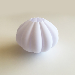 Capture_d__cran_2015-09-01___10.15.27.png Download free STL file Pumpkin Vase 1 • Object to 3D print, David_Mussaffi
