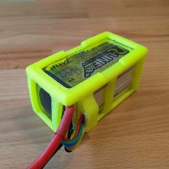IMG_20170410_182735.jpg Free STL file Lipo Cage・3D printing template to download