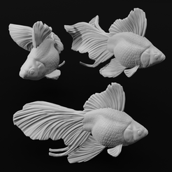 Full.png Ryukin Fancy Goldfish - Realistic Fish Pet