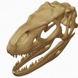 03.jpg Allosaurus fragilis