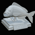 Dentex-trophy-52.png fish Common dentex / dentex dentex trophy statue detailed texture for 3d printing