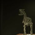 4.jpg Carnotosaurus skeleton