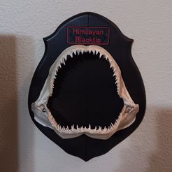 20231223_192548.jpg Shark Jaws Wall Mount Customized/Personalized Tyophy