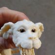 Falkor10.jpg LEONARDZ3D - NEW FLEXI FALKOR LUCK DRAGON - PRINT-IN-PLACE