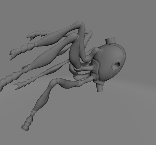 Abdomen_con_patas.png Wespe - geerdet