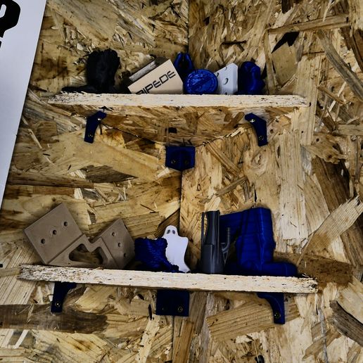 P1060284.jpg ANTIGRAVEDAD