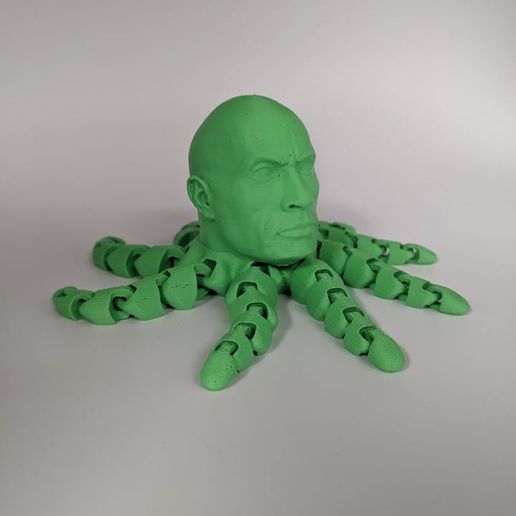 258872609_592581878722876_7536812881484636207_n.jpg The Rocktopus