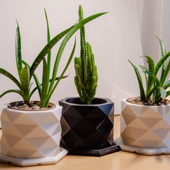 1NK_1802.jpg STL file PolyPot – Plant Pot and Tray・3D printing idea to download