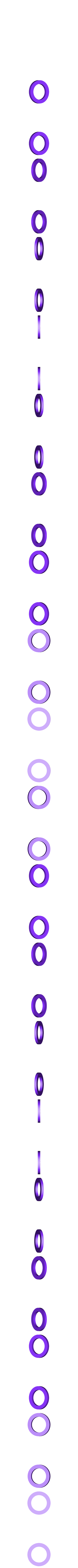 rondelle_20.stl Gyrotourbillon