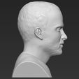 jesse-pinkman-breaking-bad-bust-ready-for-full-color-3d-printing-3d-model-obj-stl-wrl-wrz-mtl (32).jpg Jesse Pinkman Breaking Bad bust ready for full color 3D printing