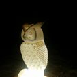 IMG_20180403_155709.jpg Owl LED Lamp