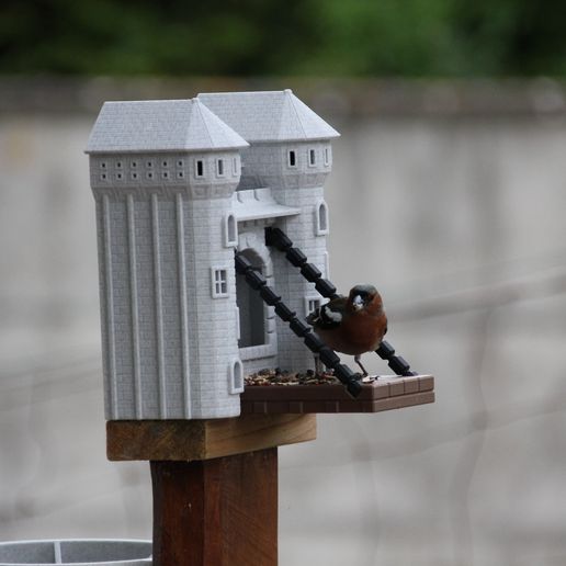 IMG_4123.jpg BIRD FEEDER & DRINKER & CUP