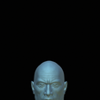 1000010021.png O polvo-das-rochas articulado