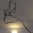 untitled.2962.jpg horse reigns