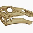 03.jpg Iguanodon 3D