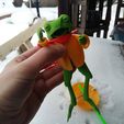 picture-(5).jpg Frog Hero
