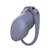 l_still.png Customizable Chastity Cage