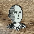 IMG_4056.jpeg One Punch Man (8x3mm magnets)