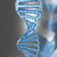 DNA-1.png DNA Model