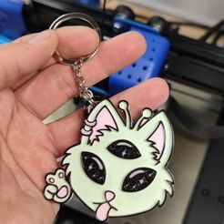 Imagen-de-WhatsApp-2023-05-15-a-las-15.33.50.jpg Fichier STL Porte-clés chat multicolore・Modèle à télécharger et à imprimer en 3D