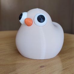 Pollito_2.jpg Baby Chick